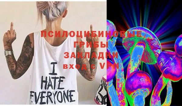 метадон Арсеньев