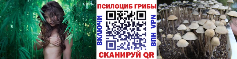 что такое   Усолье-Сибирское  Псилоцибиновые грибы мицелий 